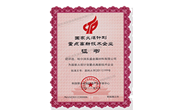 重點高新技術(shù)企業(yè)