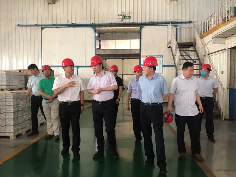 Cangzhou Mayor Mei Shitong and his delegation visited Dongsheng Group for resear